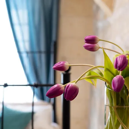 فندق مبيت وإفطار Mood Mythology Għarb