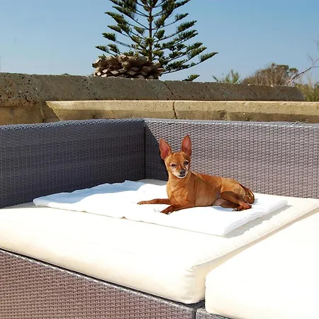 Mood Mythology Bed & Breakfast Gharb (Gozo)