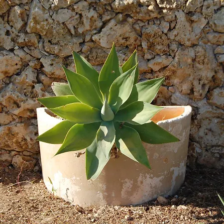Mood Mythology * Gharb (Gozo)