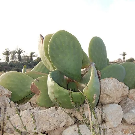 Mood Mythology * Gharb (Gozo)