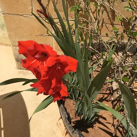 Mood Mythology 4* Għarb