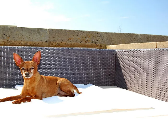 Mood Mythology Bed & Breakfast 4*