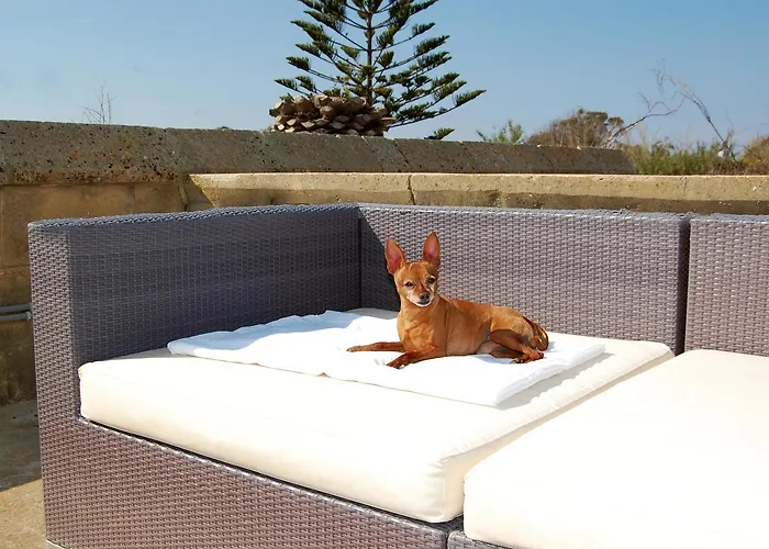 Mood Mythology Bed & Breakfast Għarb