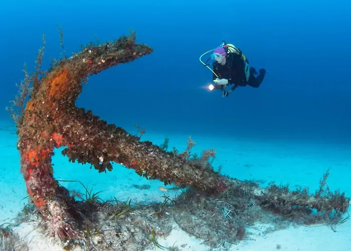 Mood Mythology Bed & Breakfast