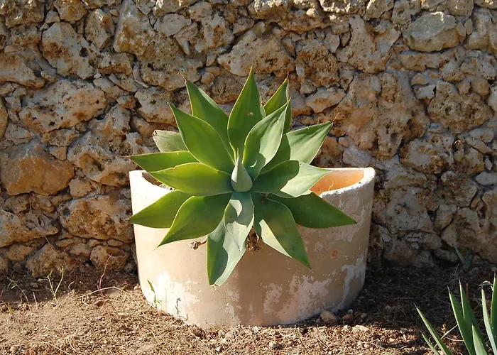 Mood Mythology 4* Għarb