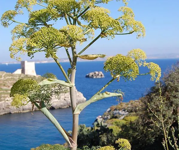 Mood Mythology Bed & Breakfast Għarb