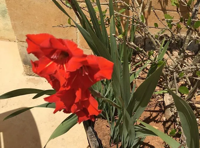 Mood Mythology 4* Għarb