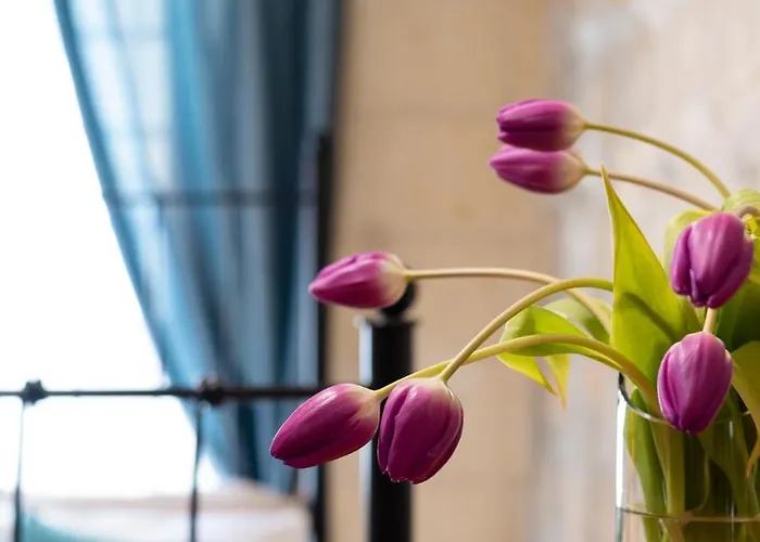 Bed & Breakfast Mood Mythology Għarb